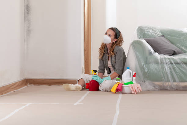 Reliable Black Mold Remediation contractor in Parkville, MD by 24 Hour Mold Removal